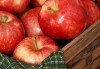 Един или два килограма домашен щрудел с ябълка, орехи и канела на хапки от Работилница за вкусотии РАВИ - thumb 2