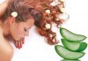 Дълбокотъканен масаж с натурални био масла цитрус, евкалипт, бадем и алое в Chocolate & Beauty - thumb 4