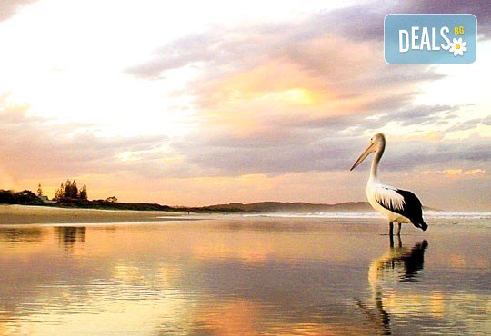 През октомври до Солун и Паралия, Гърция! 2 нощувки със закуски и транспорт от Пловдив от Дрийм Тур! - Снимка 10