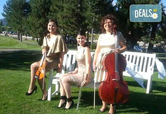 Цялостна организация на сватбено тържество, координатор на сватбения ден + водещ на изнесен ритуал от MUSIC for You! - Снимка 18