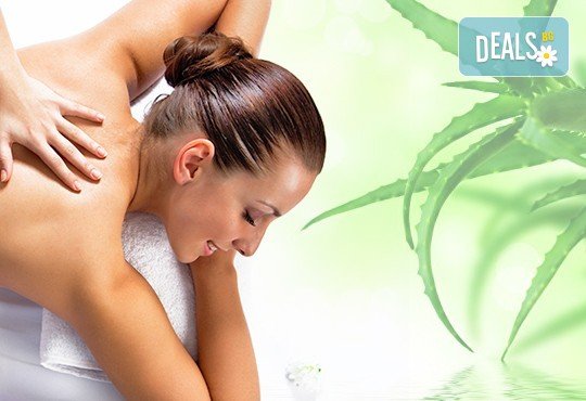 Класически, арома или релаксиращ масаж с жасмин, лайка, алое или макадамия в СПА център Pro Therapy! - Снимка 1