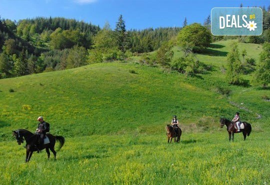 Уикенд в Ранчо Диви Родопи! 1 нощувка със закуска и вечеря, 2 часа преход с коне в Родопите и видеозаснемане с екшън камера - Снимка 7