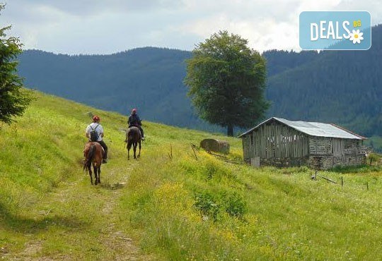 Уикенд в Ранчо Диви Родопи! 1 нощувка със закуска и вечеря, 2 часа преход с коне в Родопите и видеозаснемане с екшън камера - Снимка 5