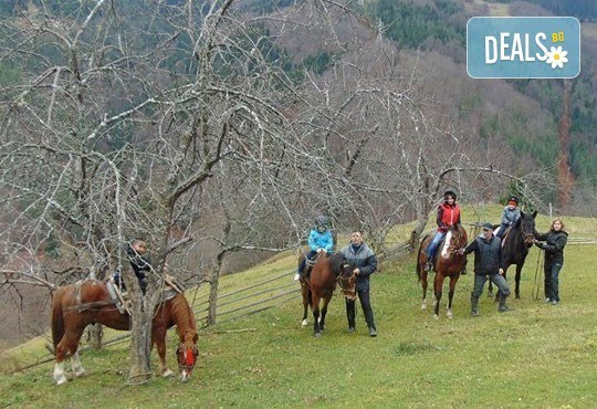 Уикенд в Ранчо Диви Родопи! 1 нощувка със закуска и вечеря, 2 часа преход с коне в Родопите и видеозаснемане с екшън камера - Снимка 2
