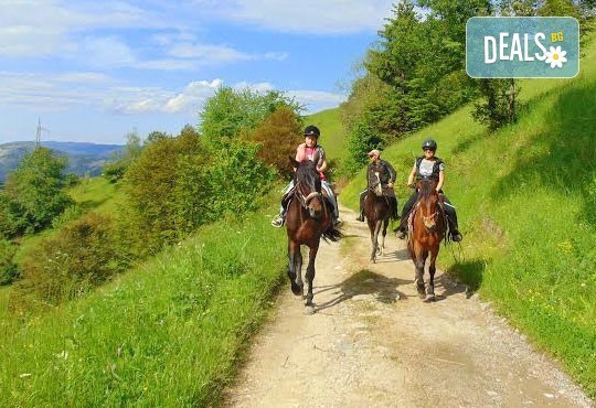 Уикенд в Ранчо Диви Родопи! 1 нощувка със закуска и вечеря, 2 часа преход с коне в Родопите и видеозаснемане с екшън камера - Снимка 1