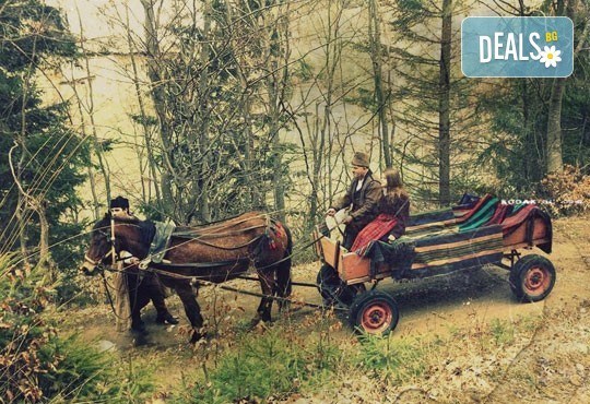 Уикенд в Ранчо Диви Родопи! 1 нощувка със закуска и вечеря, 2 часа преход с коне в Родопите и видеозаснемане с екшън камера - Снимка 3