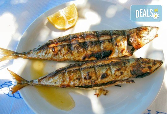 Неустоимо вкусно предложение! Вземете основно ястие и салата по избор в ресторант MFusion, Варна! - Снимка 1