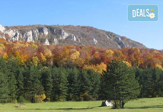 Нова Година 2017 в Сърбия - Сокобаня! 3 нощувки в хотел Banjica 3*, със закуски, обеди и празнични вечери, възможност за транспорт - Снимка 7