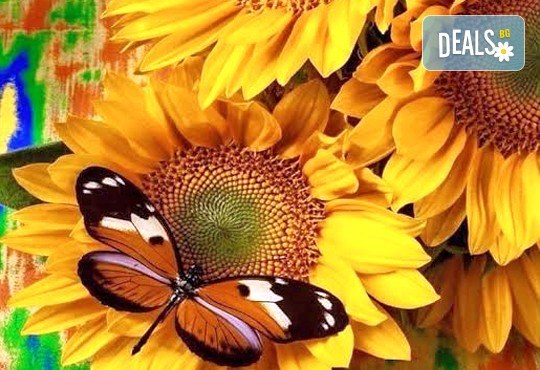 Красив загар на страхотна цена! Месечна карта за 50 минути турбо солариум в соларно студио FireSun! - Снимка 2