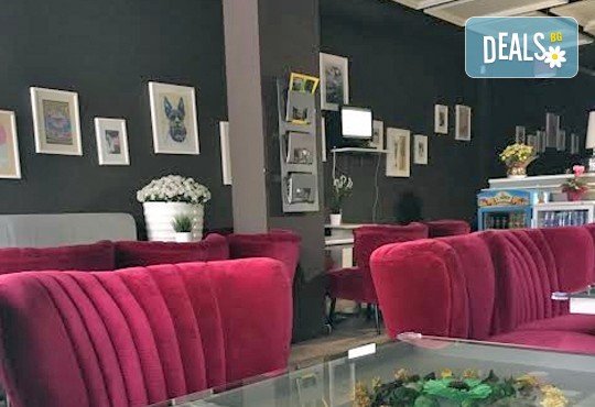 1 час частно парти! Изберете кафе-сладкарница Фон-Фон в Борово за своя празник или фирмено събитие! - Снимка 5