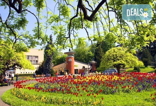 Предколеден уикенд във Върнячка баня, Сърбия! 1 нощувка със закуска и богата вечеря с неограничени напитки и жива музика! - Снимка 2