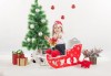 Направете незабравим подарък на себе си или любим човек! Професионална Коледна фотосесия в студио и обработка на всички заснети кадри от Chapkanov photography! - thumb 1