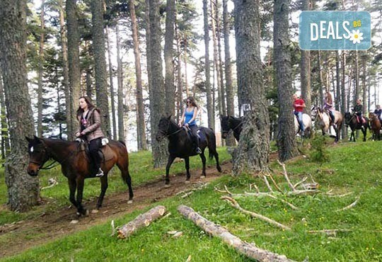 ДВА часа коннен преход - конна езда/ разходка с кон за начинаещи с инструктор в полите на Родопите от Конна база Стела - Снимка 8