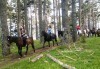 ДВА часа коннен преход - конна езда/ разходка с кон за начинаещи с инструктор в полите на Родопите от Конна база Стела - thumb 8