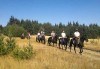 ДВА часа коннен преход - конна езда/ разходка с кон за начинаещи с инструктор в полите на Родопите от Конна база Стела - thumb 4