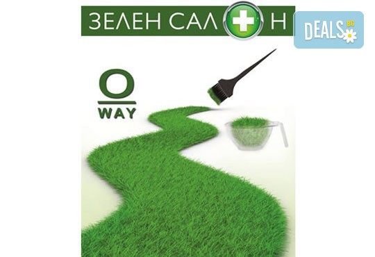 Кератинова терапия за коса с инфраред преса и ултразвук, с или без подстригване и оформяне на прическа от N&S Fashion зелен салон - Снимка 3