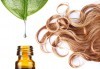 Боядисване на цялата коса или кичури, арганова затопляща терапия, ампула, масажно измиване и оформяне на прическа със сешоар в център Daerofit! - thumb 2
