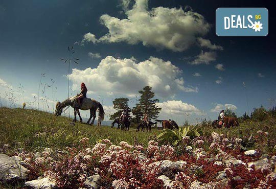 ДВА часа коннен преход - конна езда/ разходка с кон за начинаещи с инструктор в полите на Родопите от Конна база Стела - Снимка 3