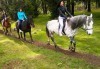 ДВА часа коннен преход - конна езда/ разходка с кон за начинаещи с инструктор в полите на Родопите от Конна база Стела - thumb 6