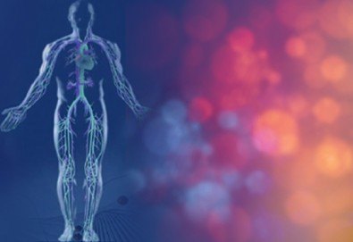 Грижа за Вашето здраве! Биоскенер - изследване на 220 здравни показателя на организма, плюс консултация от Айвис Студио!