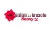 Релаксирайте с масаж на гръб или на цяло тяло с топло олио и арома масаж в салон за красота Sassy! - thumb 3