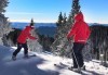 Забавление в планината! 1, 2 или 4 часа индивидуално или групово обучение по ски или сноуборд и пълна екипировка от Spree Ski School, Пампорово! - thumb 3
