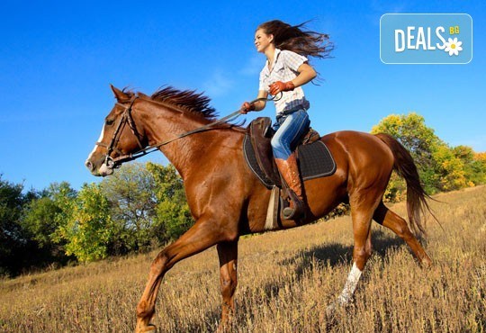Подарете си различно преживяване с 45 минути конна езда с водач от конна база София – Юг, Драгалевци! - Снимка 1