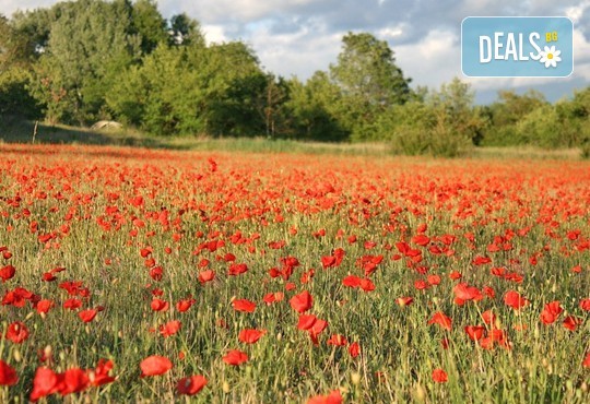 Екскурзия до Барселона, Италианска и Френска ривиера! 7 нощувки със закуски и 3 вечери, самолетен билет и пътни такси - Снимка 10