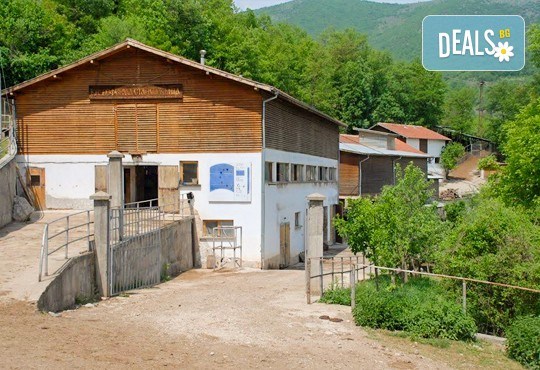 Еднодневна екскурзия до Земенски манастир и ферма Земенея с Персонал Тур! Транспорт, водач и програма с дегустация на млечни продукти - Снимка 3