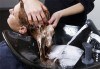 Подстригване с техника чрез увиване без скъсяване на дължината на косата, масажно измиване, маска и прическа в Studio One - thumb1 3