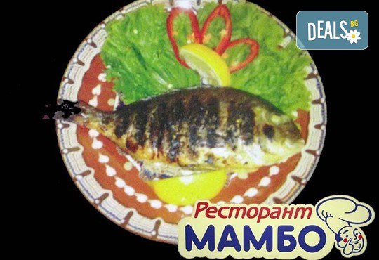 Кулинарен круиз! Ципура, лаврак, пъстърва на скара с гарнитура или филе калкан по гръцки от Ресторант - механа Мамбо! - Снимка 1