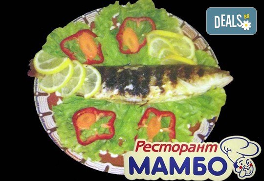 Кулинарен круиз! Ципура, лаврак, пъстърва на скара с гарнитура или филе калкан по гръцки от Ресторант - механа Мамбо! - Снимка 3