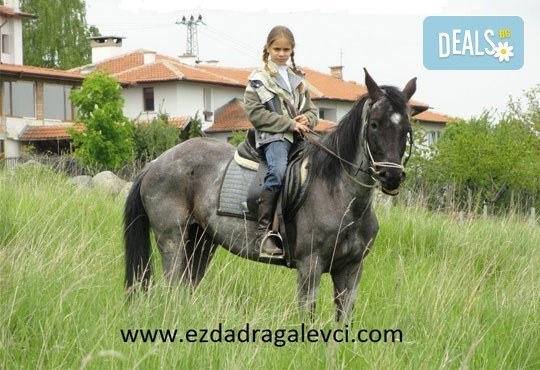 Обичате ли конете? 4 дни обучение по конна езда и преход по избор от конна база „София – Юг” - Снимка 2
