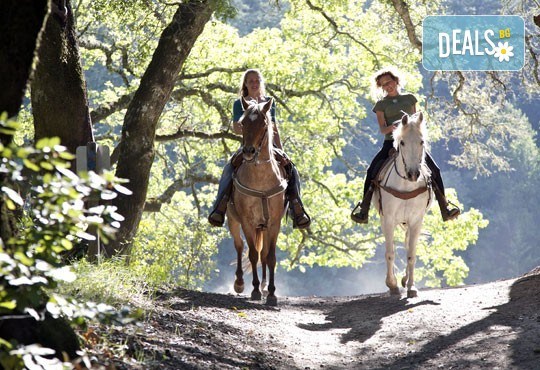 Обичате ли конете? 4 дни обучение по конна езда и преход по избор от конна база „София – Юг” - Снимка 1