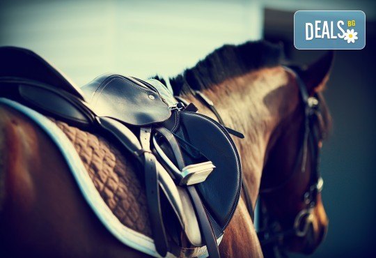 60 минути конна езда с водач и бонус стрелба с лък от конна база София – Юг, Драгалевци! - Снимка 1