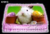 Великденска торта с картинки на зайчета, рисувани яйчица и много пролетно настроение, избор от 20 фото-картинки от Виенски салон Лагуна! - thumb 11