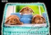 Великденска торта с картинки на зайчета, рисувани яйчица и много пролетно настроение, избор от 20 фото-картинки от Виенски салон Лагуна! - thumb 15