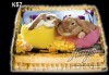 Великденска торта с картинки на зайчета, рисувани яйчица и много пролетно настроение, избор от 20 фото-картинки от Виенски салон Лагуна! - thumb 17