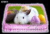 Великденска торта с картинки на зайчета, рисувани яйчица и много пролетно настроение, избор от 20 фото-картинки от Виенски салон Лагуна! - thumb 10