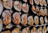 Вкус от Азия! 1.300 кг. кимбап корейско суши: 65-70 хапки с херинга, сьомга, сурими, нори и зеленчуци от Sun of Asia в центъра на София! - thumb 4