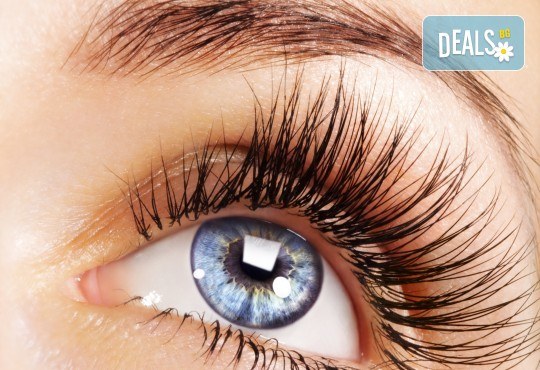 Изящен поглед с копринени мигли косъм по косъм или с 3D ефект в студио за красота Fabio Salsa - Снимка 2