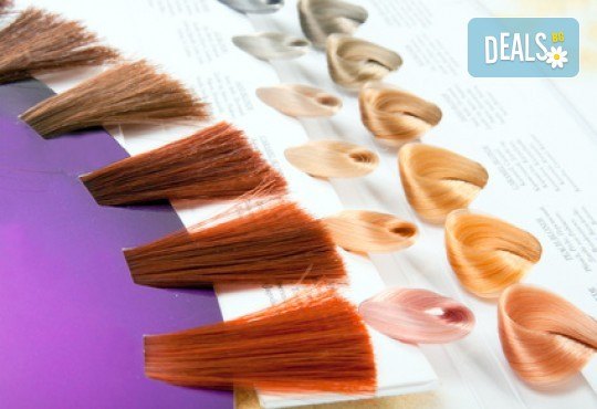 Освежете цвета на косата си! Масажно измиване и боядисване с боя на клиента в студио за красота Fabio Salsa - Снимка 2