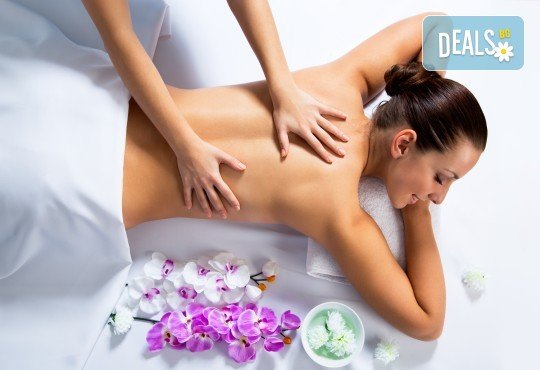 Релакс и здраве! Цялостен 60-минутен масаж с ароматни и билкови етерични масла от жасмин, алое, макадамия и лавандула в новото студио Massage and therapy Freerun! - Снимка 2