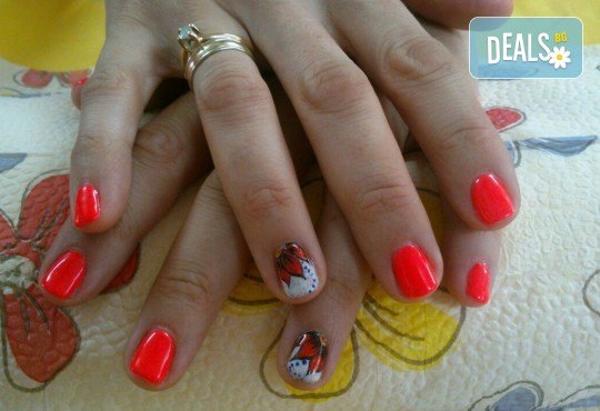 Бъдете зашеметяващи в най-важния ден! Пробен грим за абитуриенти и маникюр с гел лак във фризьоро-козметичен салон Вили в кв. Белите брези - Снимка 2