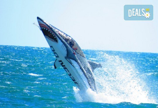 Уникално и единствено по рода си 15-минутно гмуркане с най-новия атракцион Акула в Слънчев бряг - Снимка 2