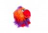 Вземете червен плюшен, говорещ папагал от Toys.bg! - thumb 1