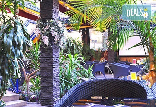 Изберете цял килограм невероятно вкусен сладолед за вкъщи за мелби и айс напитки с вкус по избор от Виенски салон Лагуна! - Снимка 8