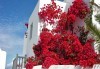 Септемрийски празници с екскурзия на о. Миконос - перлата на Гърция! 4 нощувки със закуски, транспорт, водач и посещение на Атина - thumb 4