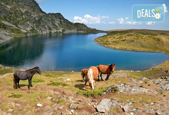 Еднодневен тур до Седемте Рилски езера - съкровищата на Рила! Транспорт от София тур и придружаване от планински водач - Снимка 4