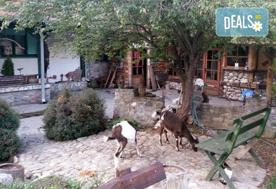 Екскурзия до етно село Срна, Сърбия през юли: 1 нощувка със закуска и вечеря, плюс транспорт от агенция Поход - Снимка 8